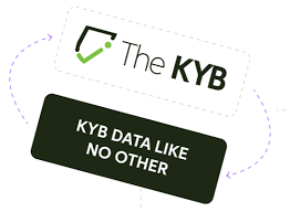 KYB Platform